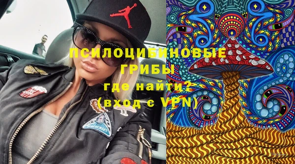 Альфа ПВП Вяземский
